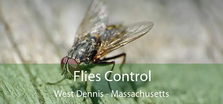 Flies Control West Dennis - Massachusetts