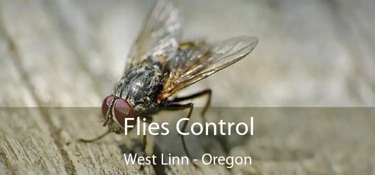 Flies Control West Linn - Oregon