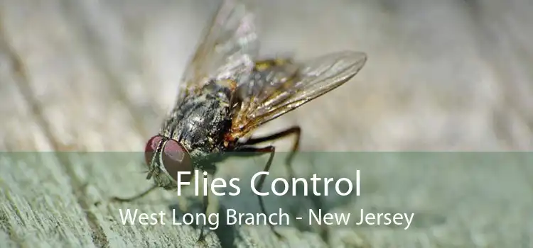 Flies Control West Long Branch - New Jersey