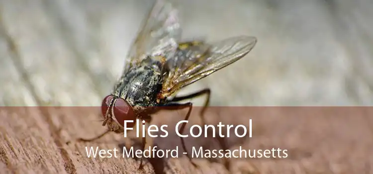 Flies Control West Medford - Massachusetts
