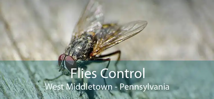 Flies Control West Middletown - Pennsylvania