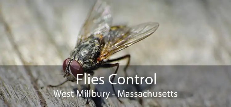 Flies Control West Millbury - Massachusetts