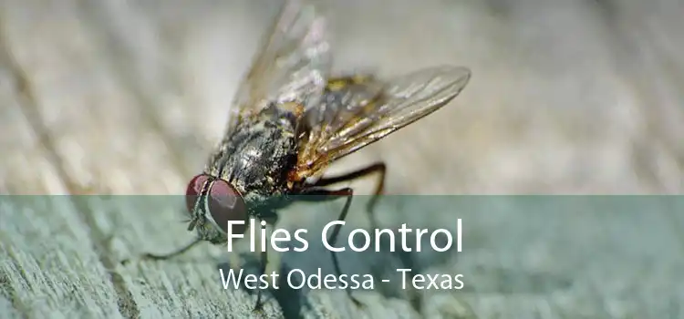 Flies Control West Odessa - Texas