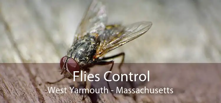 Flies Control West Yarmouth - Massachusetts