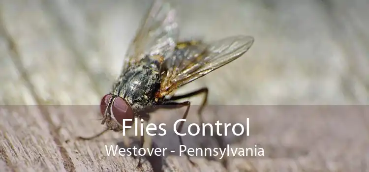 Flies Control Westover - Pennsylvania