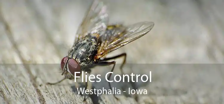 Flies Control Westphalia - Iowa