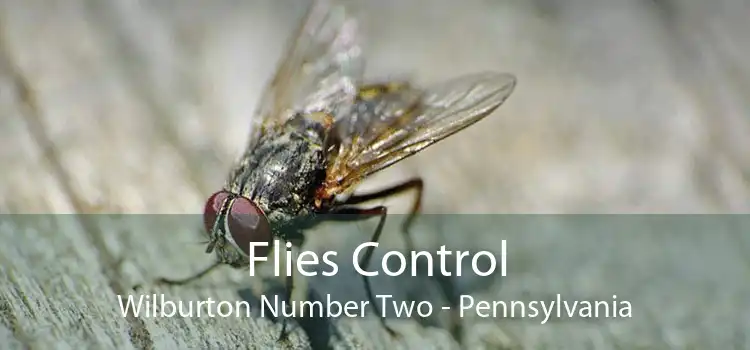 Flies Control Wilburton Number Two - Pennsylvania