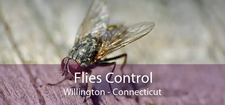 Flies Control Willington - Connecticut