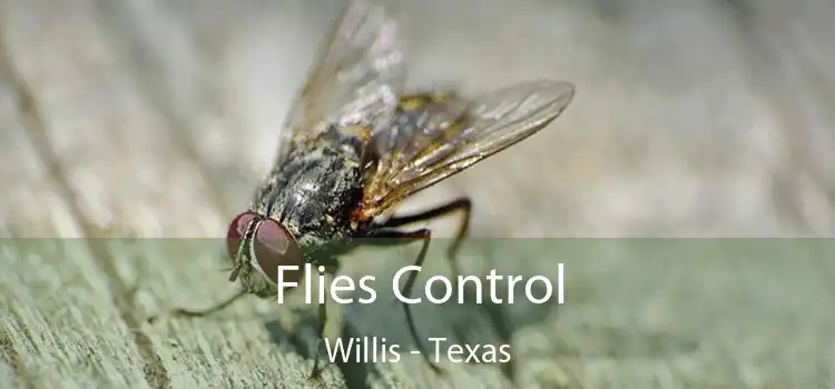 Flies Control Willis - Texas