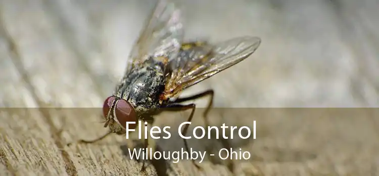 Flies Control Willoughby - Ohio