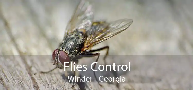 Flies Control Winder - Georgia