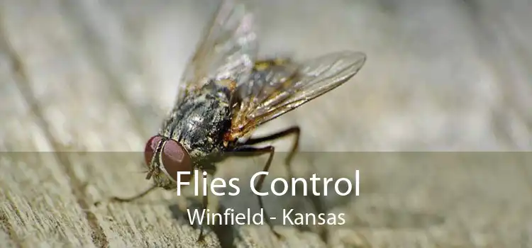 Flies Control Winfield - Kansas