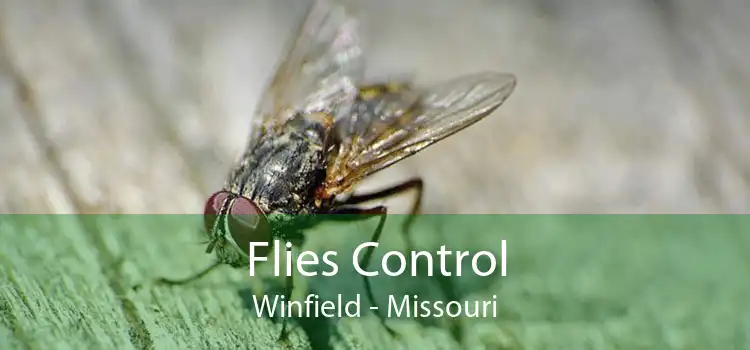 Flies Control Winfield - Missouri