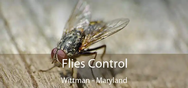 Flies Control Wittman - Maryland