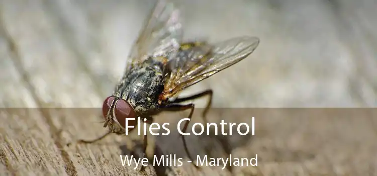 Flies Control Wye Mills - Maryland