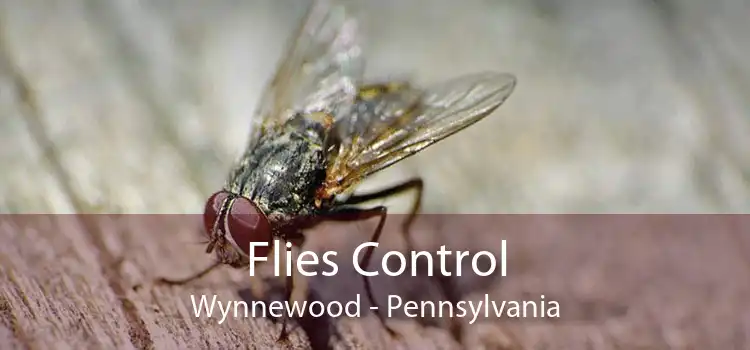Flies Control Wynnewood - Pennsylvania