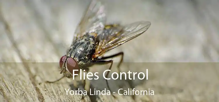 Flies Control Yorba Linda - California
