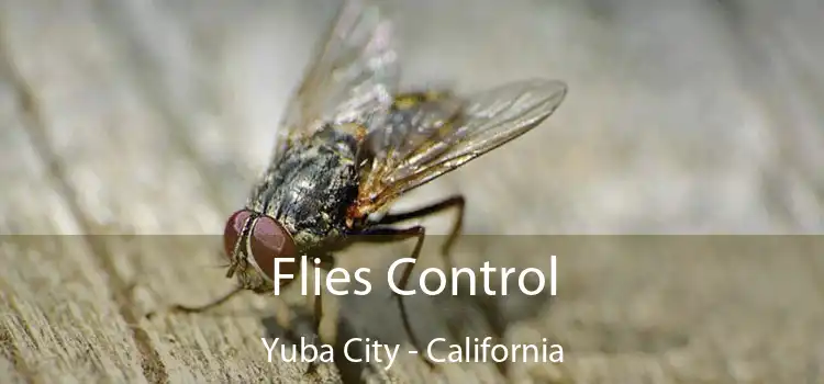 Flies Control Yuba City - California