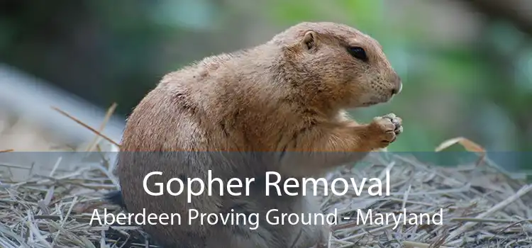 Gopher Removal Aberdeen Proving Ground - Maryland