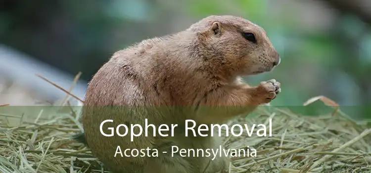 Gopher Removal Acosta - Pennsylvania
