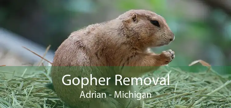 Gopher Removal Adrian - Michigan