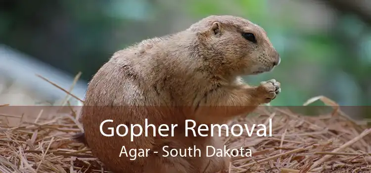 Gopher Removal Agar - South Dakota