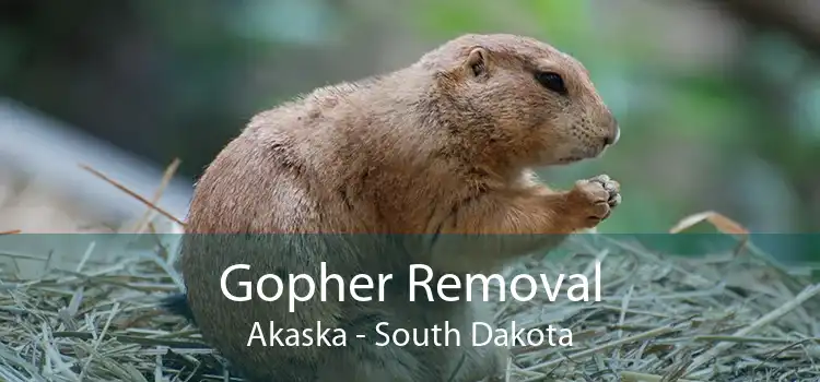 Gopher Removal Akaska - South Dakota
