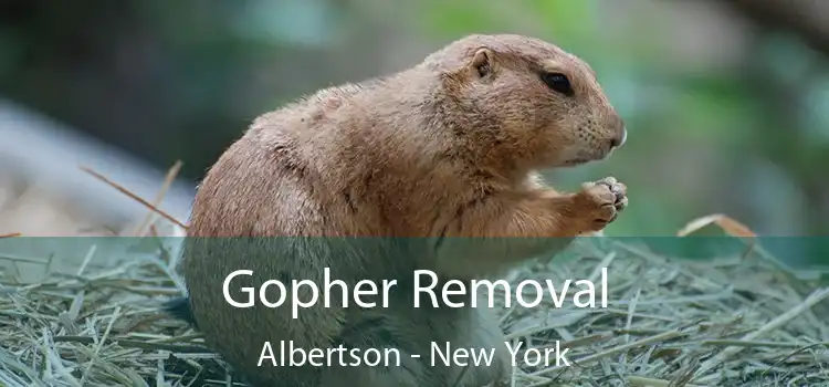 Gopher Removal Albertson - New York