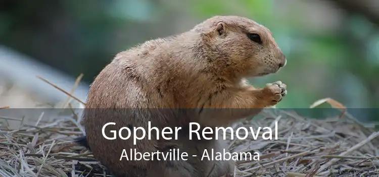 Gopher Removal Albertville - Alabama