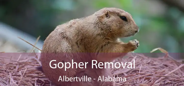 Gopher Removal Albertville - Alabama