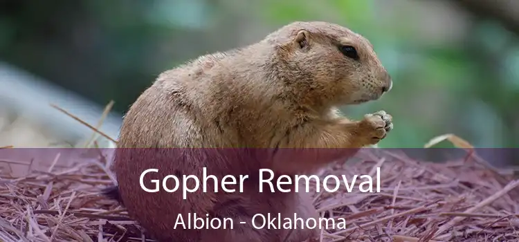 Gopher Removal Albion - Oklahoma