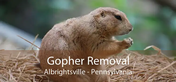 Gopher Removal Albrightsville - Pennsylvania