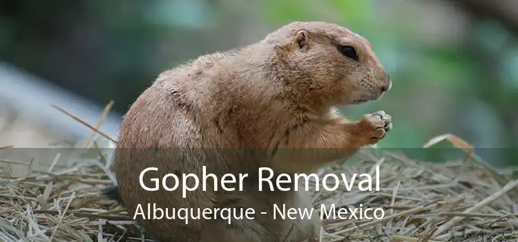 Gopher Removal Albuquerque - New Mexico