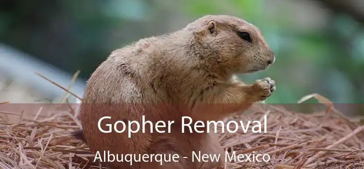 Gopher Removal Albuquerque - New Mexico