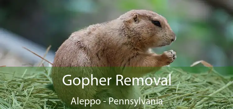 Gopher Removal Aleppo - Pennsylvania