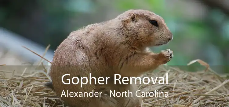 Gopher Removal Alexander - North Carolina