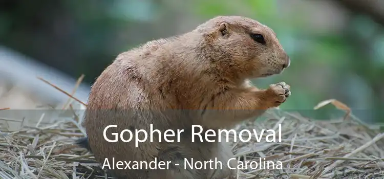 Gopher Removal Alexander - North Carolina