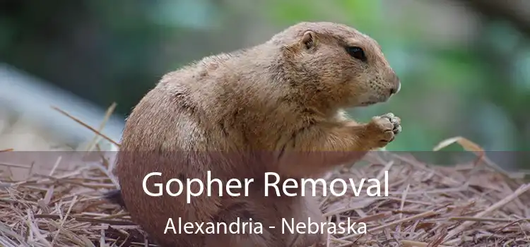 Gopher Removal Alexandria - Nebraska