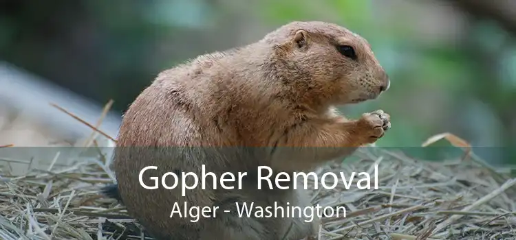 Gopher Removal Alger - Washington