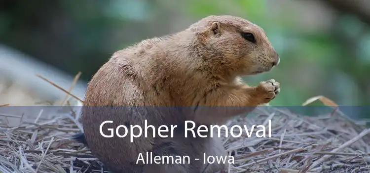 Gopher Removal Alleman - Iowa