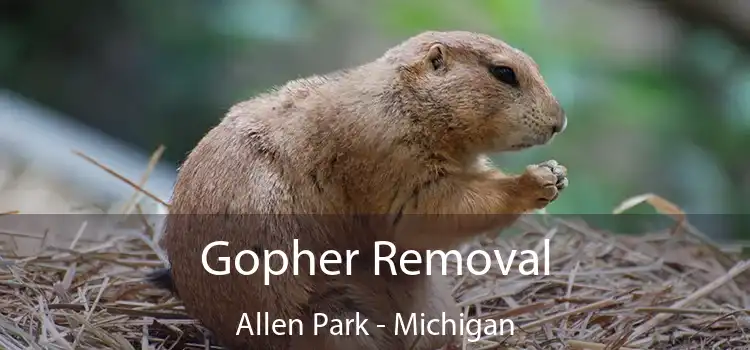 Gopher Removal Allen Park - Michigan