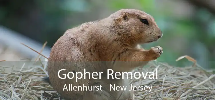 Gopher Removal Allenhurst - New Jersey