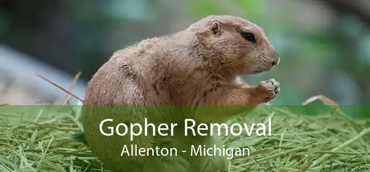 Gopher Removal Allenton - Michigan