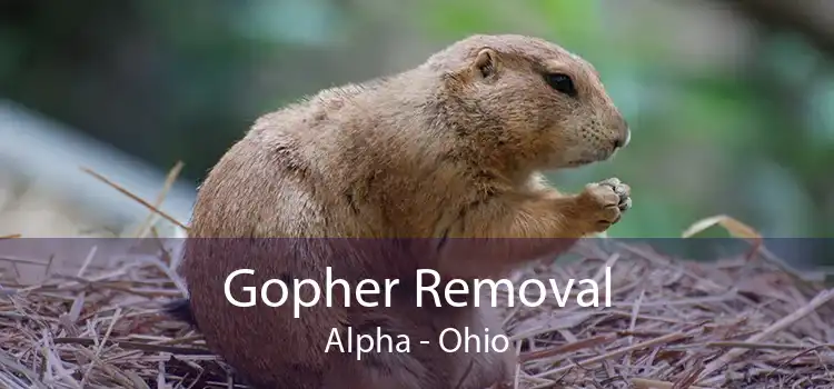 Gopher Removal Alpha - Ohio