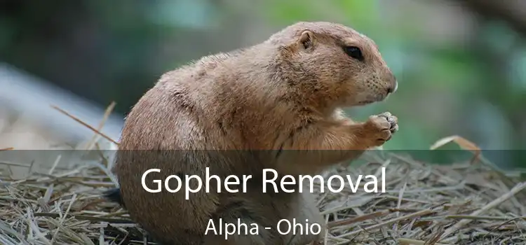 Gopher Removal Alpha - Ohio