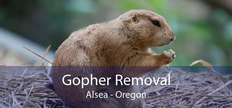 Gopher Removal Alsea - Oregon