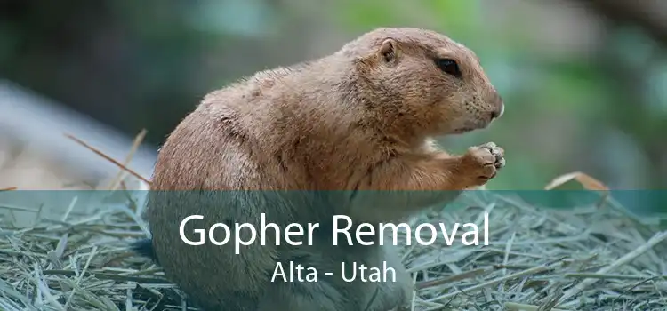 Gopher Removal Alta - Utah