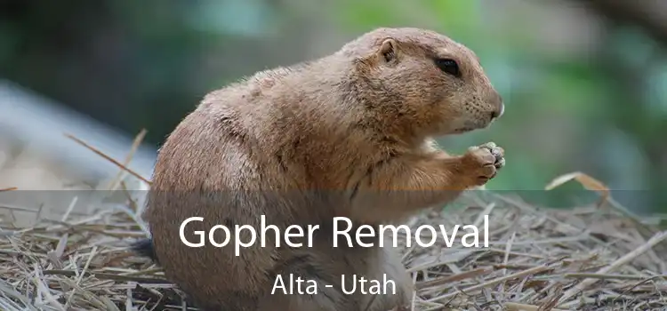 Gopher Removal Alta - Utah