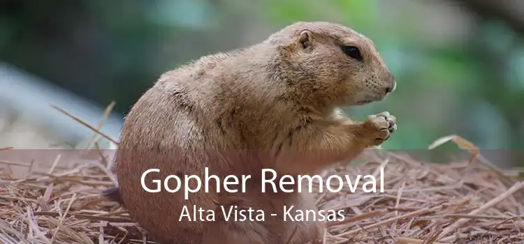 Gopher Removal Alta Vista - Kansas