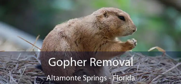 Gopher Removal Altamonte Springs - Florida